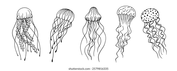 Set of sketches of sea creatures, various decorative jellyfish. Vector graphics.