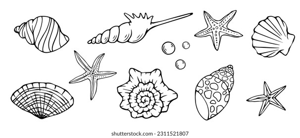 Set of sketches of shells, starfish. Vector graphics.