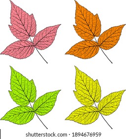 Set sketches silhouettes leaves on white background illustration.