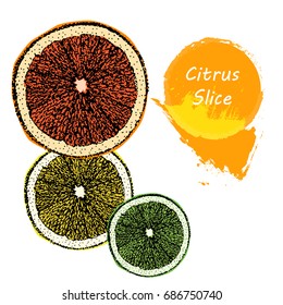 Set of sketches slices of citrus with bright color silhouettes. Grapefruit,lemon and lime in the style of pointillism and a bright spot with the inscription - Vector Illustration
