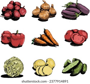 A set of sketches of vegetables in color. Vector illustration