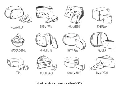 Set of sketches of vegetarian nutrition cheese. Italian mozzarella and parmesan, mascarpone and mimolette, french roquefort and cheddar, bryndza and gouda, feta and colby jack. Dairy theme