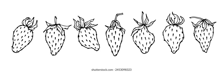 Set of sketches,doodles of summer strawberries.vector graphics.