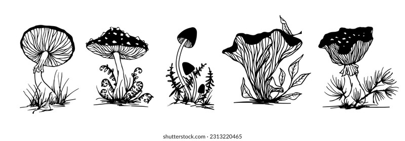 Set of sketches,doodles of toadstool mushrooms forest grass,leaves.Vector graphics.
