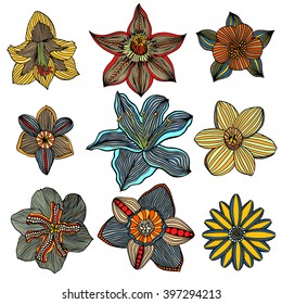 Set of sketchy colored abstract doodle flowers. Vector illustration. Hand drawn sketch. Isolated on white.
