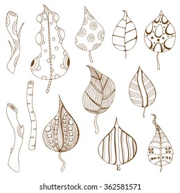 Set of sketchy monochrome doodle branch and leaves. Vector illustration. Hand drawn sketch
