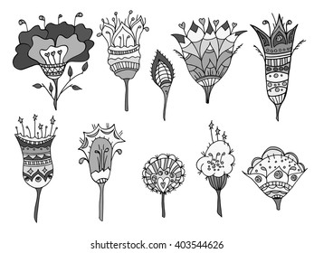 set of sketchy monochrome doodle flowers. Vector illustration