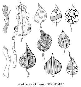 Set of sketchy monochrome gray doodle branch and leaves. Vector illustration. Hand drawn sketch. Isolated on white.