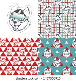 Set. Skier Husky dog. Vector illustration of seamless patterns.