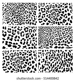 The set of skin texture of leopard 