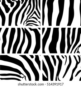 The set of skin texture of zebra  