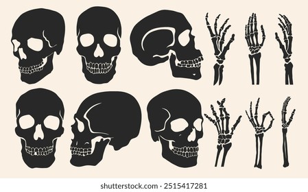 Conjunto de cráneo, huesos y silueta negra icono gótico. Símbolo de Halloween, concepto de muerte. Anatomía del cráneo y la mano del adulto humano. Estructura del esqueleto facial. Ilustración vectorial plana de diseño espeluznante de Plantilla