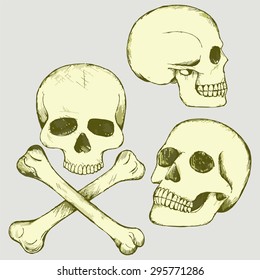 Set skull and crossbones. Vector Image