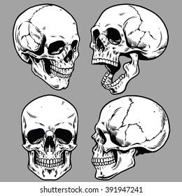 set of skull in hand drawing style