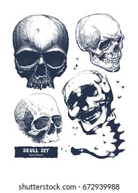 Set of skull in hand drawing style. Vector illustration.