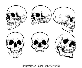 Set of skull Illustration, handdrawn vector image