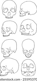 Set of skull Illustration, handdrawn vector image. Vector set