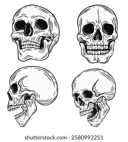 set of skull vector illustration series 3-monochrome vintage hand drawn style