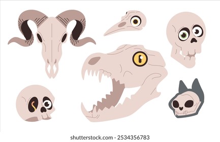 Set of skulls. Set of different animal skulls