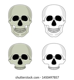 Set of skulls isolated on white background. Cartoon human skull with jaw. Vector illustration for any design.