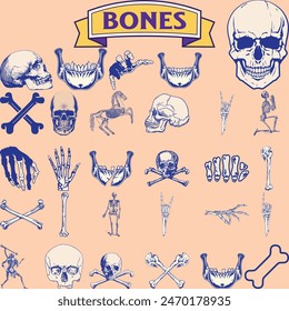 Set of Skulls isolated on white.Halloween elements. Vector illustration.
