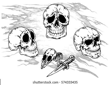 Set of skulls on background torn pirate flag - hand drawn vector illustration, isolated on white