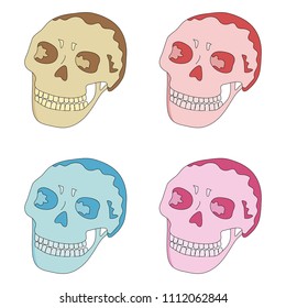 Set of skulls on white background. Collection of a colorful human skull in cartoon style. Hand drawing. Vector illustration for print on clothes, textiles.