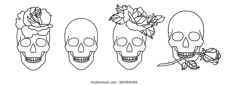 Set of skulls with a rose in a line art style.