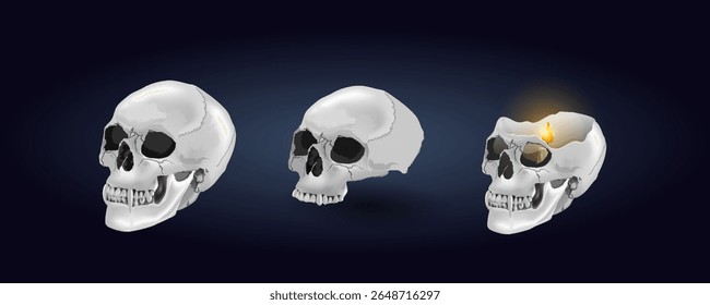 set of skulls, skeleton, side view of a human head with a row of teeth. Human head model. Skull with a candle on Halloween Set of realistic 3D images isolated Vector illustration of anatomy