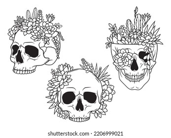 Set of skulls with succulents. Collection of portrait of a human skull with cacti. Vector illustration isolated on white background.