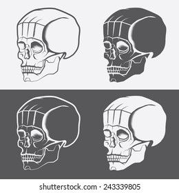 set of skulls vector design template