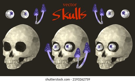 Set of skulls in vector format painted with digital watercolor