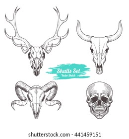 Set of skulls. Vector illustration