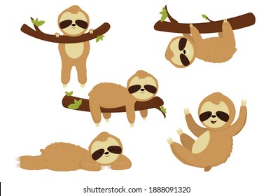 Set sleep, cute sloth isolated on white background. Cartoon bear character rest, hang and relax. Different pose, funny, adorable animal.