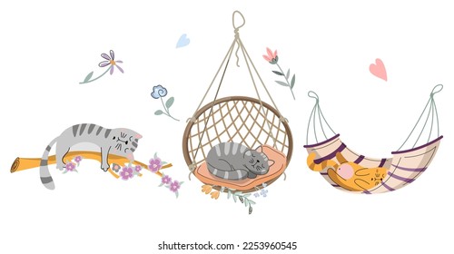 
Set of sleeping cats in a hammock on a branch in a swing. Isolate on a white background. Vector illustration.