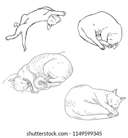 Set of sleeping cats, monochrome, line graphics


