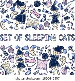 A set of sleeping cats and other objects.