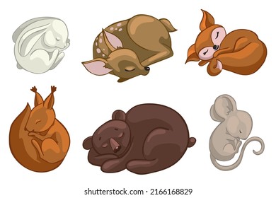 Conjunto de animales del bosque dormido.Gráficos vectoriales de dibujos animados.