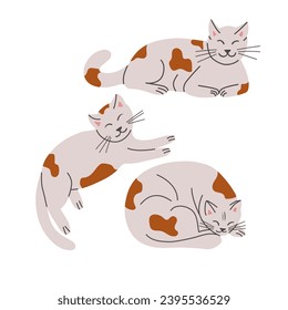 Set of sleepy lying hand drawn cats with spots. Vector pets in flat cartoon minimalistic style. Trendy illustration for sticker, decoration. Good for kids textile, decoration