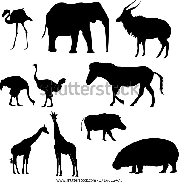 Set Slhouettes African Animals Ostrich Giraffe Stock Vector (Royalty ...