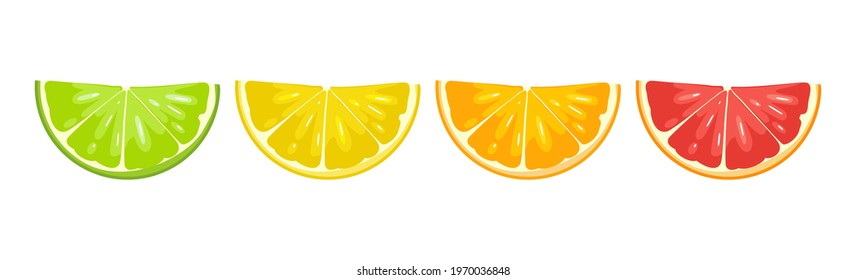 Set slice citrus fruits. Vector color flat illustration lemon, orange, grapefruit, lime. Isolated on white background