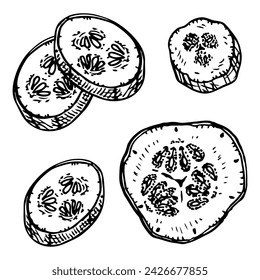 Set of slice cucumber sketch. Cut vegetable. Vegetarian food, diet. Hand drawn vector illustration.
