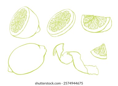 Set of slice and whole lemon, peel or zest of Lemon and isolated on white background. Vector ink vintage engraving illustration for menu, web and label. Hand drawn in a graphic linear drawing citrus.