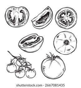 Set of slice and whole tomato isolated on white background. Vector ink vintage engraving illustration for menu, web and label. Hand drawn in a graphic linear drawing cherry tomatoes on a branch.