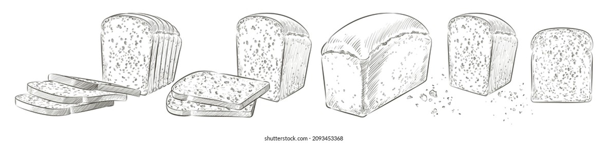 Set of sliced bread. The cut loaf of square toast bread for sandwich. Logo, icon. Vector sketch realistic line vintage illustration