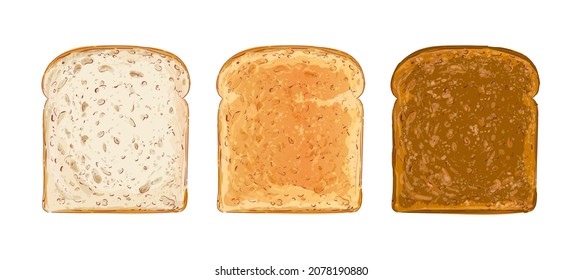 Set of sliced bread toast. Slice of a whole wheat white bread. Bakery, food, piece of roasted crouton for sandwich snack. Realistic vector illustration image.