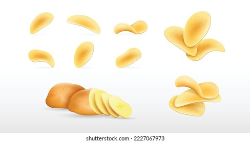 Set of sliced raw potato and crispy chips, salty snack food or crisps. Realistic spicy slices of fried potato vegetable, 3d golden chips, appetizer or side dish isolated. Vector illustration