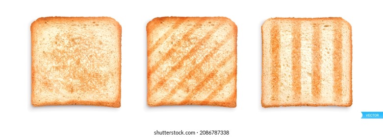 Set of sliced roasted toasts bread isolated on white background. 
Pieces of lightly toasted white bread. Close-up of toast. Top view. Realistic vector set