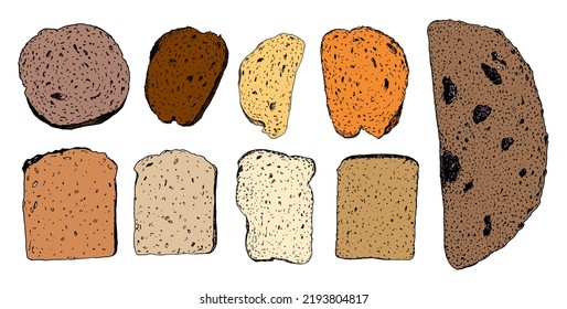 a set of slices of bread in color. collection hand-drawn sketch of bread, top view of different types and shapes: white, round, orange, yellow, with the texture of seeds and prunes in color with a bla