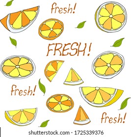 Set of slices with citrus fruits for creativity  . Vector hand draw  Illustration EPS10